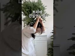 평생쓸트리 아무거나 사지마세요🌲‼️‼️#공구예고 까사무띠 트리공구알림신청 댓글로🔔