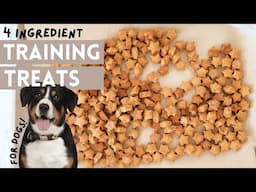 4 Ingredient Dog Training Treats: Easy DIY Recipe For Your Pup!