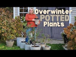 How to Overwinter Potted Plants, Trees & Shrubs. Keep Roses & Japanese Maples Alive Through Winter