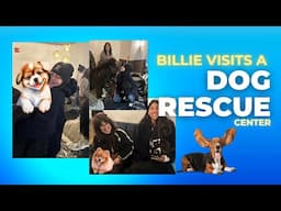 Billie Eilish's Heartwarming Visit to BOULDER COLORADO DOG RESCUE