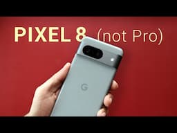 Pixel 8 (not Pro) After 2 Days: Thermals, Battery Life and More!