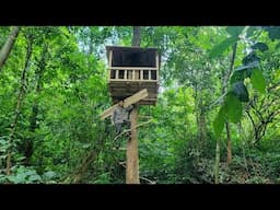 Treetop Bushcraft shelter - survival camping, nature sounds - Tropical Forest