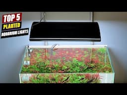 Best Aquarium Lights for Plant Growth: A Comprehensive Guide