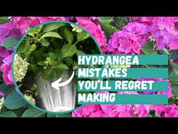 Don't Make These Hydrangea Planting Mistakes That You'll Regret | Hydrangea | Hydrangea Care