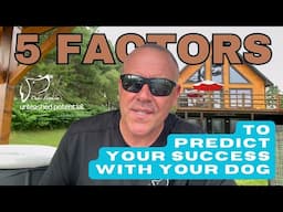 5 Factors To Predict Your Success With Your Dog