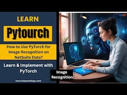 How to Use PyTorch for Image Recognition on NetSuite Data?