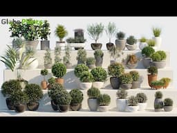 Globeplants bundle 01 : Ornamental And Decorative Pot Plants