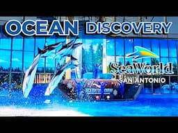 Ocean Discovery - Beluga Whales and Dolphins | FULL SHOW 4K Ultra HD | SeaWorld San Antonio