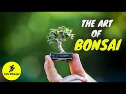 Bonsai trees for beginners | Bonsai tree making | How to make bonsai