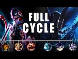 Alien Xenomorph Life Cycle Explained - Egg to Queen and Beyond