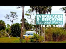 FLORIDA'S National Parks! SO MANY GATORS! // VANLIFE USA ROADTRIP--Ep.9 | Solo female travel