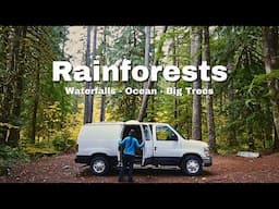 RAINFORESTS | Travelling from the Columbia River Gorge to the REDWOODS