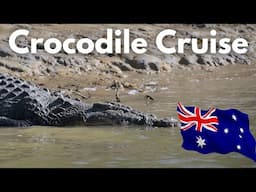 Crocodile Cruise in the Daintree Rain Forest - Australia!