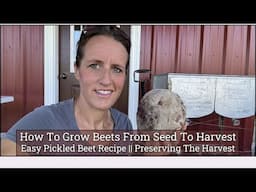 Growing Beets From Seed To Harvest || Easy Pickled Beets Recipe || How To Can Pickled Beets