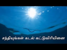 சந்தியுங்கள் கடல் கட்டுவிரியினை