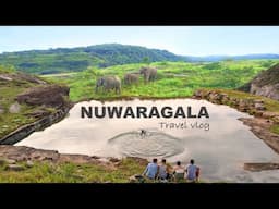 නුවරගල රහස් දොරටුව 😱 | Nuwaragala Camping Adventure 🏕️