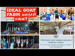 Ideal Goat farm வளர்ச்சி என்ன?