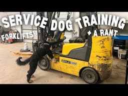 SERVICE DOG TRAINING VLOG | sdit training around forklifts, service dog confidence, a training rant