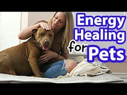 Is ENERGY HEALING for ANIMALS Bull$*%^?