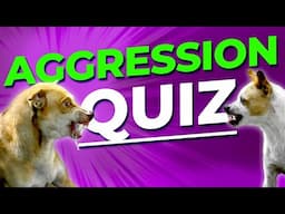 Not All Dog Aggression is the Same...Take The Quiz NOW!