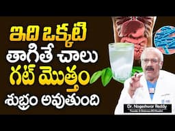 ఇది ఒక్కటి తాగితే మీ గట్ క్లీన్ | Food to Improve Gut Health in Telugu | Dr Nageshwar Reddy