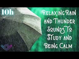 Relaxing Rain and Thunder Sounds to Study and Being Calm | 10h