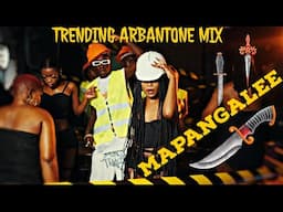 MAPANGALEE ARBANTONE MIX 2024 EXTRA PRESSURE SET IT - Bien Dyana Cods Zendiambo Wadagliz Bensoul