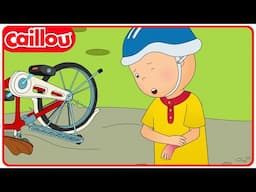 Caillou Breaks a Bone | Caillou's New Adventures | Season 4: Episode 7