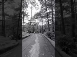 Spooky! #hallooween #break #vacay #cold #familyadventures #Baguio #schoolbreal #walk