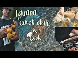 Iguana Catch Clean & Cook | South Florida Invasives