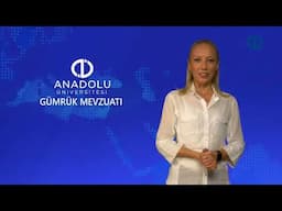 GÜMRÜK MEVZUATI - Ünite 8 Konu Anlatımı 1