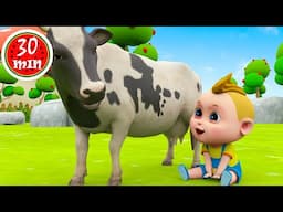 The Animals On The Farm Song | Old MacDonald Farm Song | +More Kids Songs & Nursery Rhymes