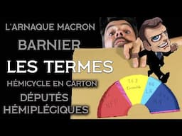 Hémicycle en CARTON, l'Arnaque MACRON - LES TERMES