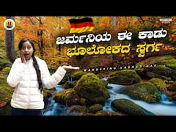 ಜರ್ಮನಿಯ ಹಳ್ಳಿಯಲ್ಲಿರೋ ಈ ಕಾಡು ನೋಡಿದ್ರೆ ಕಳೆದೋಗ್ತಿರಾ😍Germany Black Forest   #kannadavlogs#blackforest