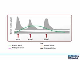 Chapter 34 Type 1 Diabetes in Children and Adolescents