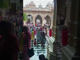 Krishna Janmashtami 😍 🥰 Iskcon Temple Vrindavan #shorts