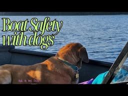 Boating With Your Best Friend: Top Tips For Safely Boating With Your Dog!