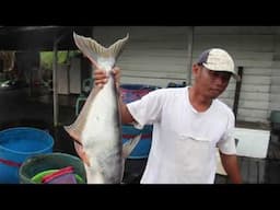 Desa Semayang, Surga Ikan Air Tawar