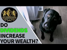 Do Dividends Increase Your Wealth?