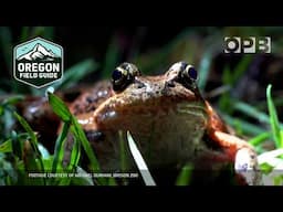 Hitching a ride on Portland’s "Frog Taxi” | Oregon Field Guide