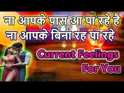 💯📲TRUE CURRENT FEELINGS OF YOUR LOVE❤️‍🔥HINDI TAROT CARD READING❤️NO CONTACT📵TIMELESS ALL SING TAROT