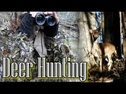 Deer Hunting in Victoria