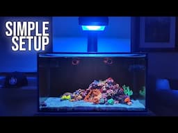 Simple Nano Reef Tank Month Ten - Overview & Tour