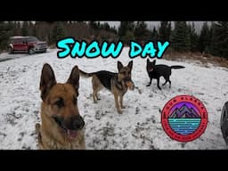 Side by Side Upgrade for Winter | Dogs Playing in first Alaska Snow