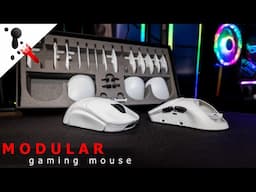 A modular gaming mouse is coming... Orbital PATHFINDER Preview