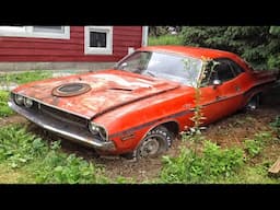 Abandoned Muscle Cars. Old Abandoned Race and Drag Cars