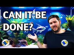 Can AI Really Create the Perfect Aquarium? (INSANE RESULTS)