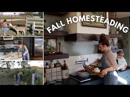 food storage, cold room, livestock, logging, cooking, all the things!