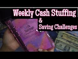 Weekly cash envelope stuffing and saving challenges#savings #sinkingfunds#shorts