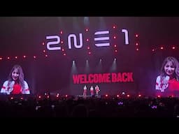 2NE1 sends their love to PH Blackjacks